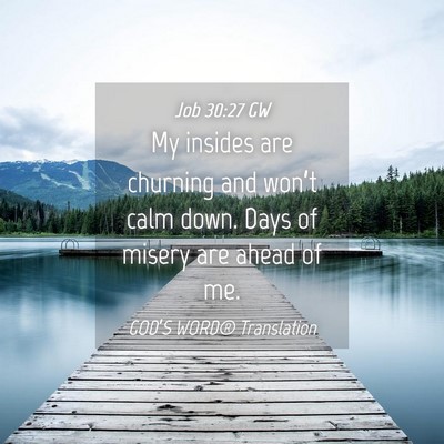 Picture 04 - Job 30:27 GW - My insides are churning and won’t calm down. - Bible Verse Picture
