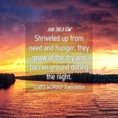 Picture 04 - Job 30:3 GW - Shriveled up from need and hunger, they gnaw at - Bible Verse Picture