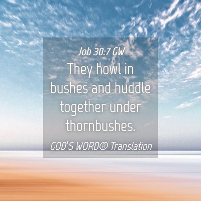 Picture 04 - Job 30:7 GW - They howl in bushes and huddle together under - Bible Verse Picture