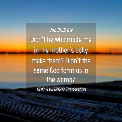 Picture 04 - Job 31:15 GW - Didn’t he who made me in my mother’s belly - Bible Verse Picture