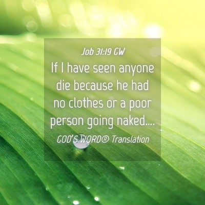 Picture 04 - Job 31:19 GW - If I have seen anyone die because he had no - Bible Verse Picture