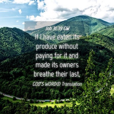 Picture 04 - Job 31:39 GW - If I have eaten its produce without paying for it - Bible Verse Picture