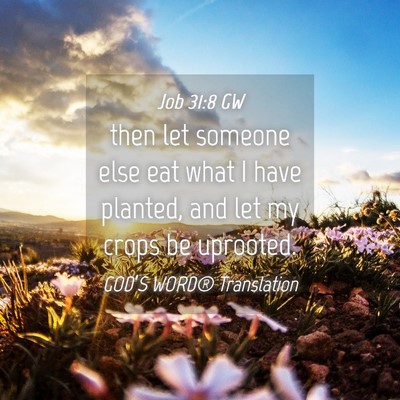 Picture 04 - Job 31:8 GW - then let someone else eat what I have planted, - Bible Verse Picture