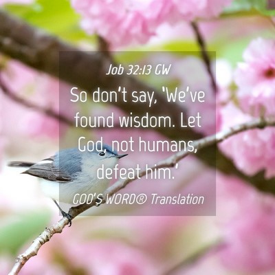 Picture 04 - Job 32:13 GW - So don’t say, ‘We’ve found wisdom. Let God, - Bible Verse Picture