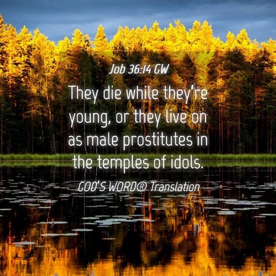 Picture 04 - Job 36:14 GW - They die while they’re young, or they live on - Bible Verse Picture