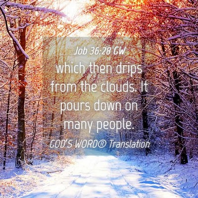 Picture 04 - Job 36:28 GW - which then drips from the clouds. It pours down - Bible Verse Picture