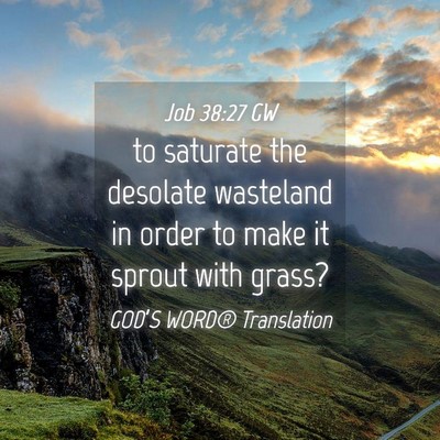 Picture 04 - Job 38:27 GW - to saturate the desolate wasteland in order to - Bible Verse Picture