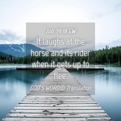 Picture 04 - Job 39:18 GW - It laughs at the horse and its rider when it gets - Bible Verse Picture