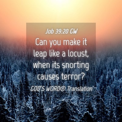 Picture 04 - Job 39:20 GW - Can you make it leap like a locust, when its - Bible Verse Picture