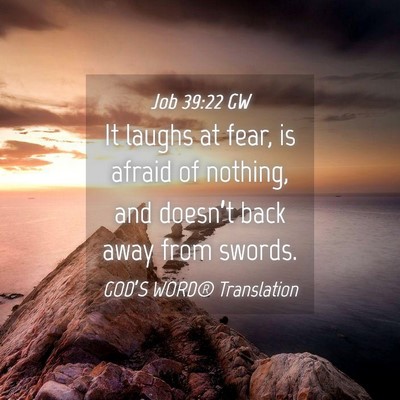 Picture 04 - Job 39:22 GW - It laughs at fear, is afraid of nothing, and - Bible Verse Picture