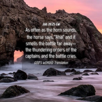 Picture 04 - Job 39:25 GW - As often as the horn sounds, the horse says, - Bible Verse Picture