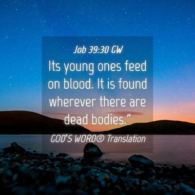 Picture 04 - Job 39:30 GW - Its young ones feed on blood. It is found - Bible Verse Picture