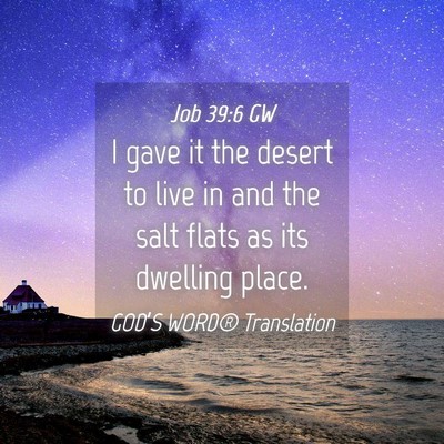 Picture 04 - Job 39:6 GW - I gave it the desert to live in and the salt - Bible Verse Picture