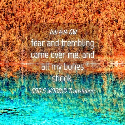 Picture 04 - Job 4:14 GW - fear and trembling came over me, and all my bones - Bible Verse Picture