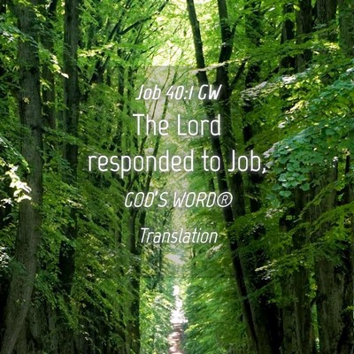 Picture 04 - Job 40:1 GW - The Lord responded to - Bible Verse Picture