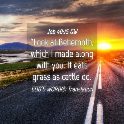Picture 04 - Job 40:15 GW - “Look at Behemoth, which I made along with you. - Bible Verse Picture