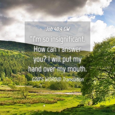Picture 04 - Job 40:4 GW - “I’m so insignificant. How can I answer you? - Bible Verse Picture
