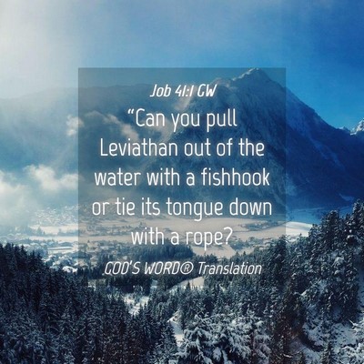 Picture 04 - Job 41:1 GW - “Can you pull Leviathan out of the water with a - Bible Verse Picture