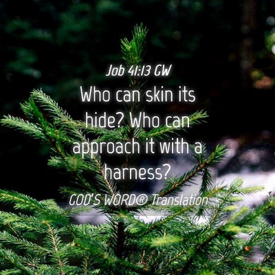 Picture 04 - Job 41:13 GW - Who can skin its hide? Who can approach it with a - Bible Verse Picture