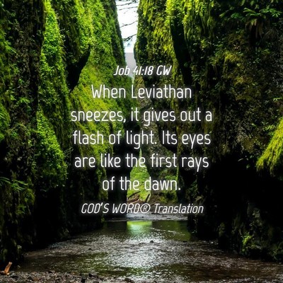 Picture 04 - Job 41:18 GW - When Leviathan sneezes, it gives out a flash of - Bible Verse Picture
