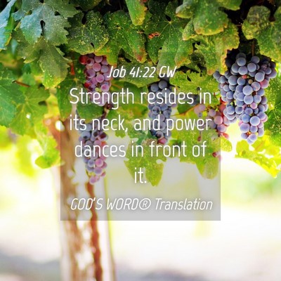 Picture 04 - Job 41:22 GW - Strength resides in its neck, and power dances in - Bible Verse Picture