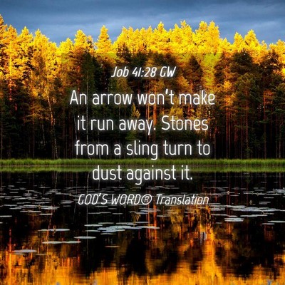 Picture 04 - Job 41:28 GW - An arrow won’t make it run away. Stones from a - Bible Verse Picture
