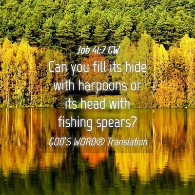 Picture 04 - Job 41:7 GW - Can you fill its hide with harpoons or its head - Bible Verse Picture