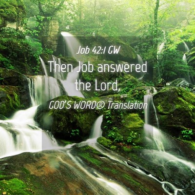 Picture 04 - Job 42:1 GW - Then Job answered the - Bible Verse Picture