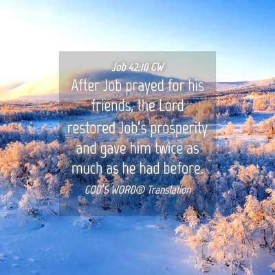 Picture 04 - Job 42:10 GW - After Job prayed for his friends, the Lord - Bible Verse Picture