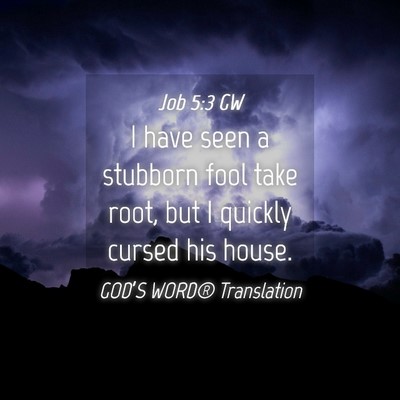 Picture 04 - Job 5:3 GW - I have seen a stubborn fool take root, but I - Bible Verse Picture