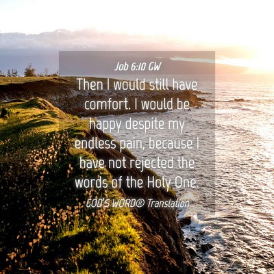 Picture 04 - Job 6:10 GW - Then I would still have comfort. I would be happy - Bible Verse Picture