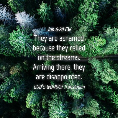 Picture 04 - Job 6:20 GW - They are ashamed because they relied on the - Bible Verse Picture