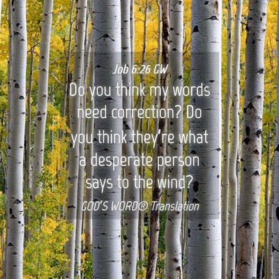 Picture 04 - Job 6:26 GW - Do you think my words need correction? Do you - Bible Verse Picture