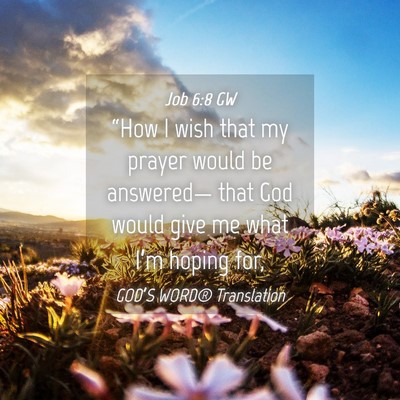 Picture 04 - Job 6:8 GW - “How I wish that my prayer would be answered— - Bible Verse Picture