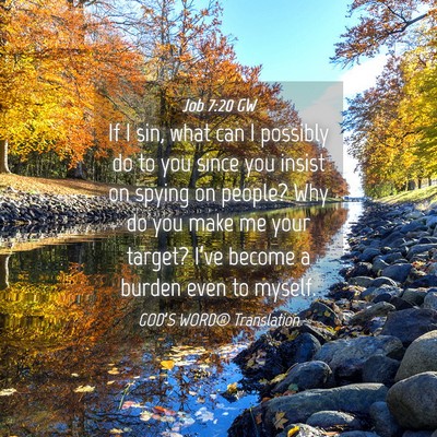 Picture 04 - Job 7:20 GW - If I sin, what can I possibly do to you since you - Bible Verse Picture