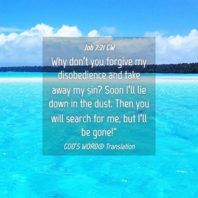 Picture 04 - Job 7:21 GW - Why don’t you forgive my disobedience and take - Bible Verse Picture