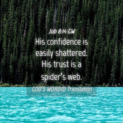 Picture 04 - Job 8:14 GW - His confidence is easily shattered. His trust is - Bible Verse Picture