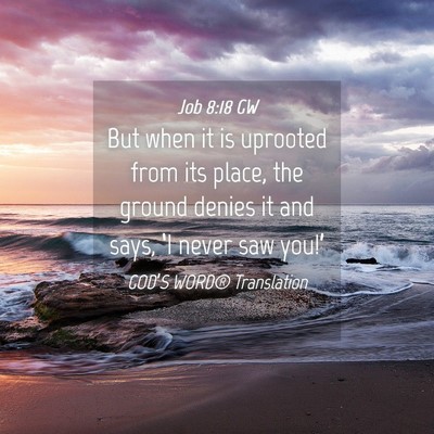 Picture 04 - Job 8:18 GW - But when it is uprooted from its place, the - Bible Verse Picture
