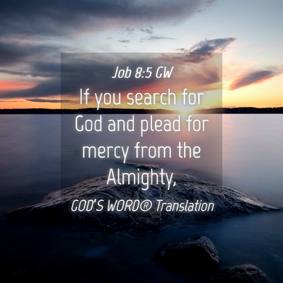 Picture 04 - Job 8:5 GW - If you search for God and plead for mercy from - Bible Verse Picture