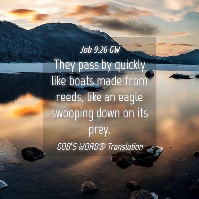 Picture 04 - Job 9:26 GW - They pass by quickly like boats made from reeds, - Bible Verse Picture