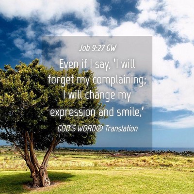 Picture 04 - Job 9:27 GW - Even if I say, ‘I will forget my complaining; I - Bible Verse Picture