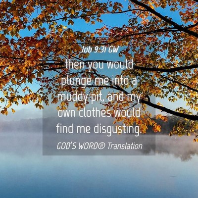 Picture 04 - Job 9:31 GW - then you would plunge me into a muddy pit, and my - Bible Verse Picture