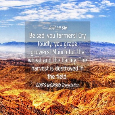 Picture 04 - Joel 1:11 GW - Be sad, you farmers! Cry loudly, you grape - Bible Verse Picture