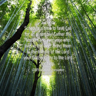 Picture 04 - Joel 1:14 GW - Schedule a time to fast! Call for an assembly! - Bible Verse Picture