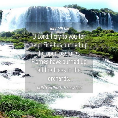 Picture 04 - Joel 1:19 GW - O Lord, I cry to you for help! Fire has burned up - Bible Verse Picture