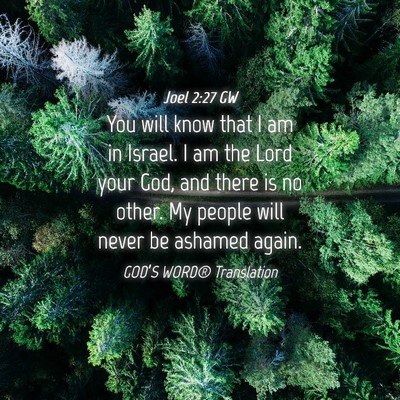 Picture 04 - Joel 2:27 GW - You will know that I am in Israel. I am the Lord - Bible Verse Picture