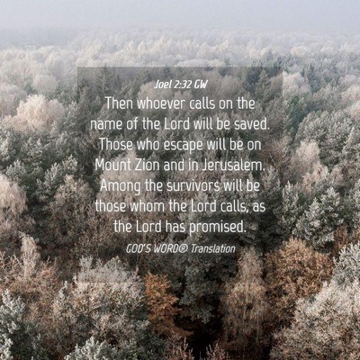 Picture 04 - Joel 2:32 GW - Then whoever calls on the name of the Lord will - Bible Verse Picture