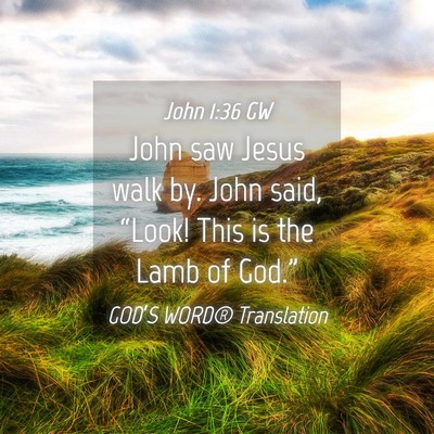 Picture 04 - John 1:36 GW - John saw Jesus walk by. John said, “Look! This - Bible Verse Picture