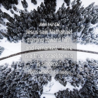 Picture 04 - John 1:47 GW - Jesus saw Nathanael coming toward him and - Bible Verse Picture