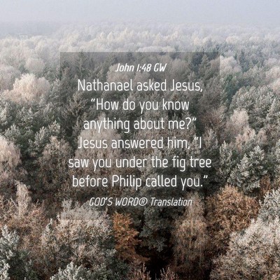 Picture 04 - John 1:48 GW - Nathanael asked Jesus, “How do you know - Bible Verse Picture